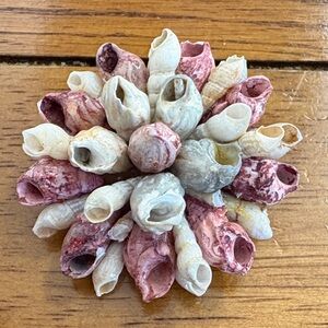 Vintage Pink and Cream Shell Brooch